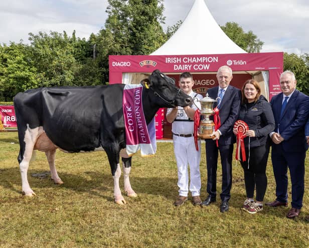 Pictured at the 2026 Diageo Baileys Champion Cow competition are Overall winners Paul Murphy and Emma Behan from Banteer Co Cork with their champion cow 'Coolroehouse Abbott Ann', pictured along side, Minister of State at the Dept of Agriculture, Timmy Dooley, Robert Murphy – Category Head, Baileys and Ger O'Brien, Tirlán Chairperson. Picture:  Finbarr O'Rourke