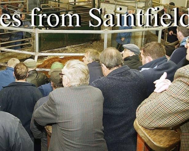 Exceptional trade for cattle at Saintfield