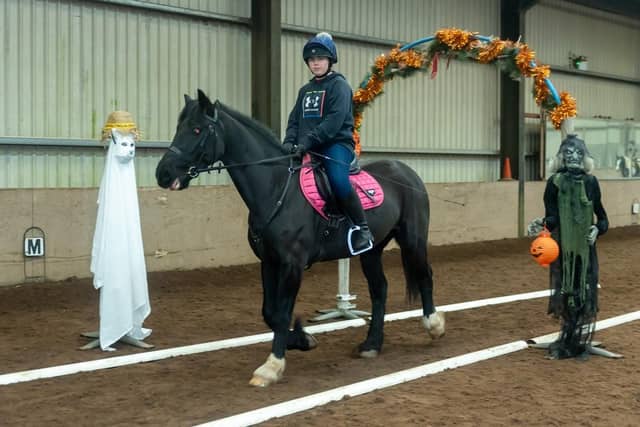Sophia McKay and Schumi stride into third place in the 13 and over Obstacle Course Class. (Pic: Equi-Tog)
