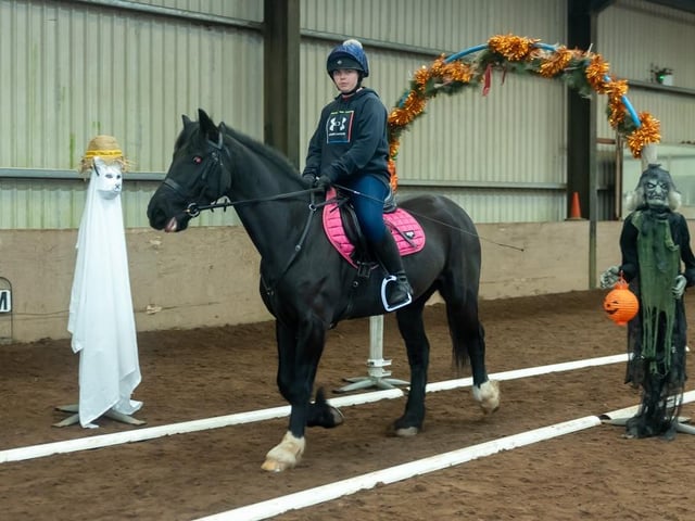 Sophia McKay and Schumi stride into third place in the 13 and over Obstacle Course Class. (Pic: Equi-Tog)