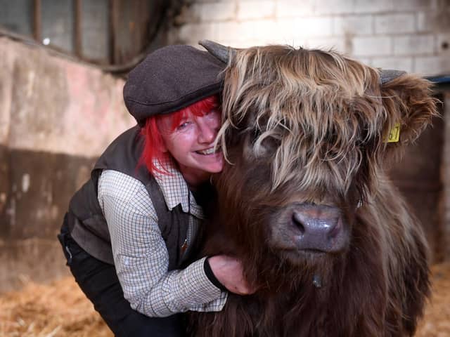 Dumble Farm owner Fiona Wilson is no stranger to cows and is delighted with the success of her 'cuddle a cow' experience which is drawing in new visitors.

