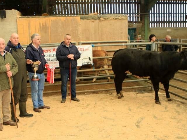 Alan McKee who is presenting the Clarence McKee memorial cup to Dermot McCusker who won overall champion along with first place in the heifer class. Also pictured are mart manager John Farnon and judge Keith Tumilty. Picture: Hilltown Mart