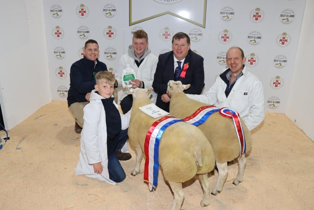 The Champion Sheep Young Farmer sponsored by Provita Animal Health at the 2022 Royal Ulster Premier Beef & Lamb Championships was exhibited by Jamie McCutcheon from Trillick, Co. Tyrone  Pictured (L-R) Owen Kelly (Provita), Jamie McCutcheon, Andrew (Judge) with Beltex lambs.