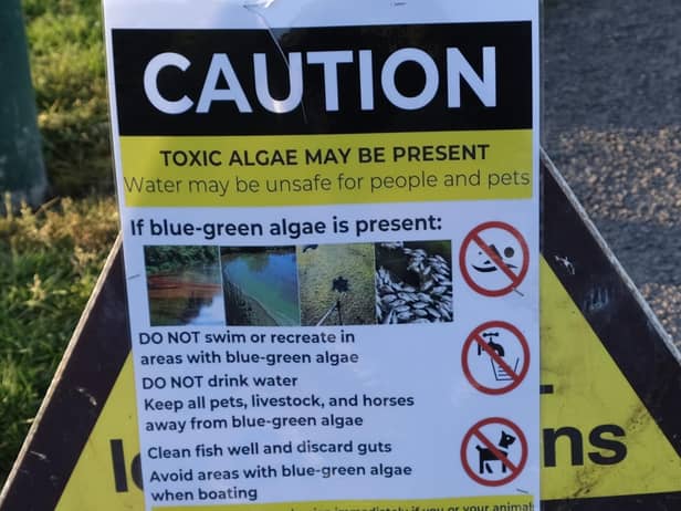 Signs warning of the presence of algae. Pic: Jay Forbes