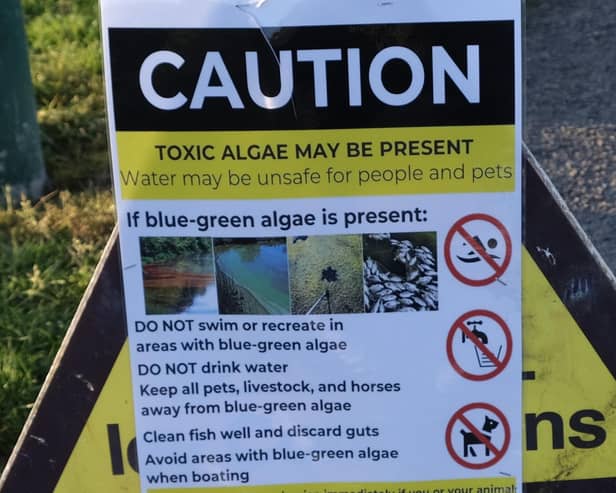 Signs warning of the presence of algae. Pic: Jay Forbes