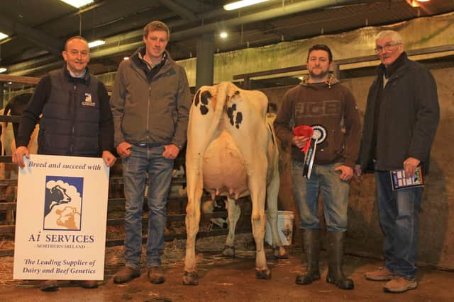 Champion was Glenbrae Gerard Margo exhibited by David Dodd, Sanitfield. Included are sponsor Ivan Minford, AI Services (NI) Ltd; judge Daivd Simpson, Lisburn; and Holstein NI president David Perry. Picture: Julie Hazelton