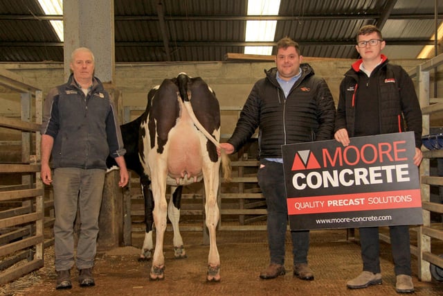 Honourable mention award went to Ards Adorable L Ruth 2 PLI £247 bred by Wilson Patton. Included are judge Matthew McLean, and sponsor David Henderson. Picture: Julie Hazelton