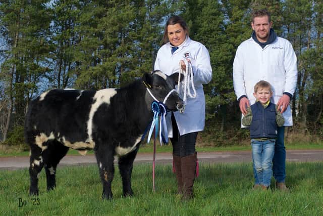 James Sloan's  reserve overall champion junior heifer, Springhill Twilight ,with handler Shauna Killen and young Jude Sloan. (Pic: Bo Davidson)