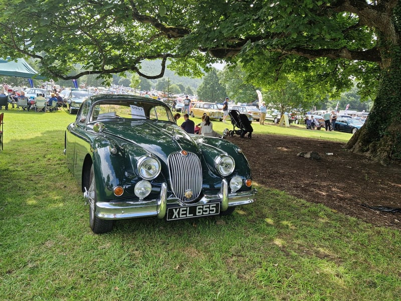 One of the vehicles at this year's Kilbroney Vintage Show which was held at Kilbroney Forest Park, Rostrevor. Picture: Darryl Armitage