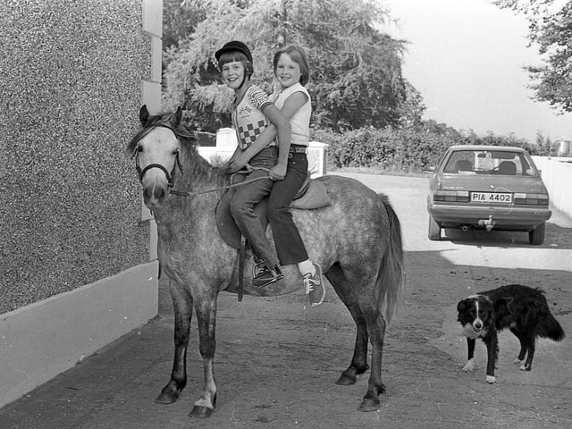 This collection of old photos is from 1981.