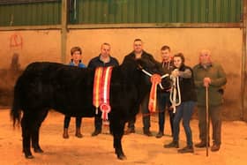 Overall champion exhibited by Jade Tumilty, left to right Diane Frazer (Frazer Feeds), Keith Tumilty, Ivan Lynn (judge), Jade Tumilty and, John Farnon (mart manager). Picture: Submitted