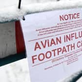 All bird keepers in Northern Ireland are reminded of the need to keep their birds and poultry housed, as part of the ongoing bid to combat the growing threat of avian flu in Northern Ireland.