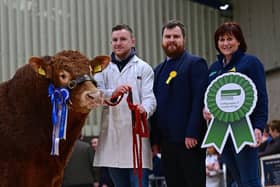 Countryside Services in sponsoring the NI Limousin Club’s May Day sale in Ballymena. Diane Henry is pictured at the  February sale with Marty McGurk, who exhibited the reserve champion, and judge Matthew Jordan. Picture: Alife Shaw.
