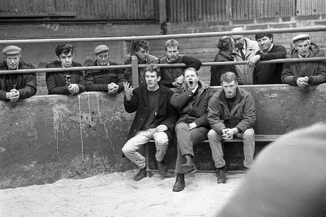 Farming Life photographer Trevor Dickson caught the different facial expressions of a group of prospective purchasers at a show and sale of Blonde d’Aquitaine calves at Ards Mart in January 1992. Picture: Farming Life/News Letter archives