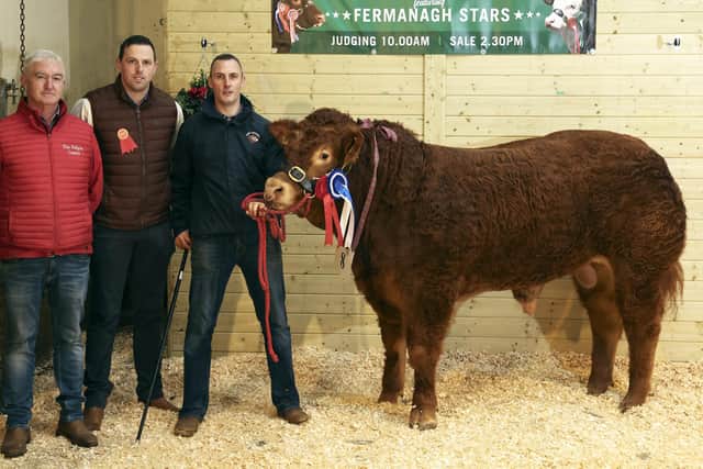 Shane McGeehan, with his Reserve Continental Champion. Also included are from left, Bartley Finnegan, Elite Pedigree Genetics and Paul Kingham, Judge.