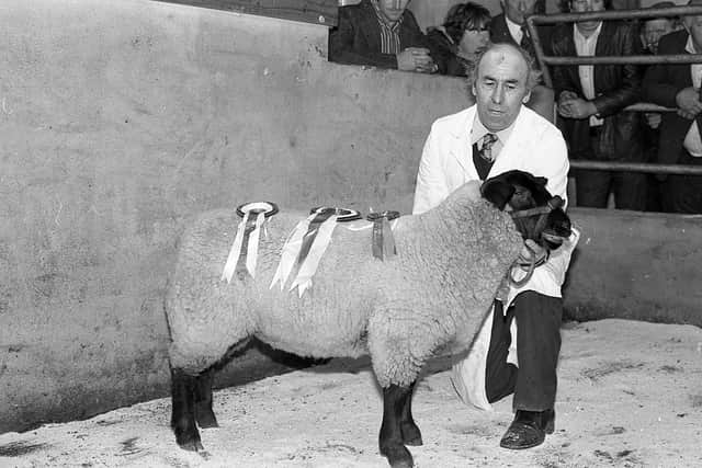 Pictured in September 1982 is Mr J A McFerran from Ballywalter, with the reserve supreme champion ewe lambs at the Suffolk sheep show and sale at Saintfield Mart. Picture: Farming Life/News Letter archives