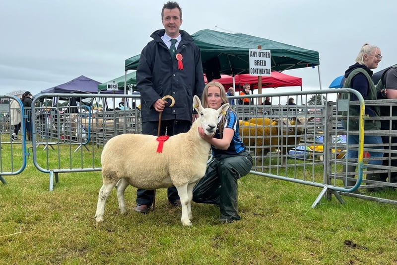 Warnock wins interbreed title at Limavady show