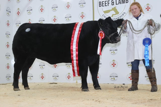 The Reserve Champion Aberdeen Angus at the 2022 Royal Ulster Beef & Lamb Championships was presented to McCrea family from Strabane. Pictured, Emma McCrea.