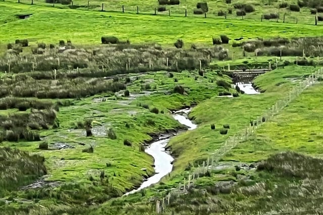 Culverted river across farm restored as brown trout thrive