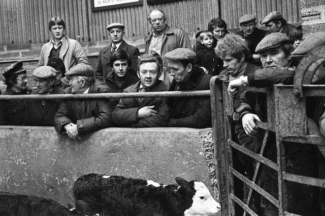 Buyers who attended the show and sale of calves which was held at Allams, Newtownards at the start of January 1984. Picture: Farming Life archives/Darryl Armitage