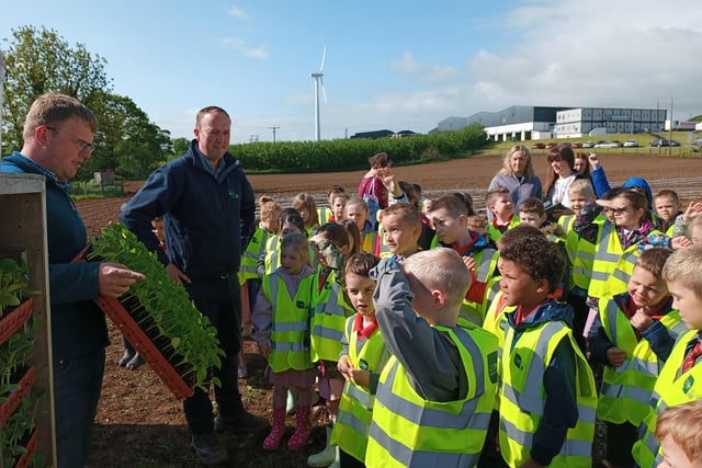 Richard Gilpin and William Gilpin of Gilfresh Produce pictured providing an insight into the company’s pumpkin crop to Primary 3 pupils from Hardy Memorial Primary School during their recent visit to the company.