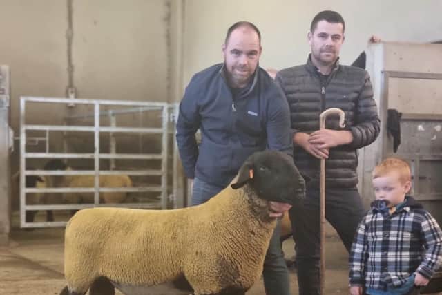 1st prize shearling from J&E Smyth sold for 780gns