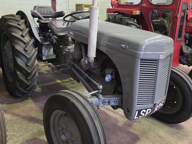 FMC Auctions
