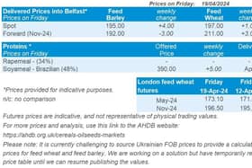 Northern Ireland weekly market report, 22 April 2024. Picture: ADHB