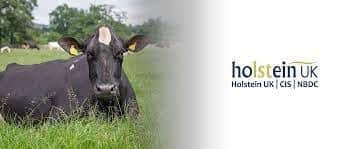 Holstein UK has announced the winners of the 2023 All Britain Award