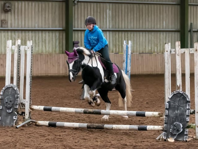 2nd for Dominic Mullen and George over the 45cm fences. (Pic: Equi-Tog)