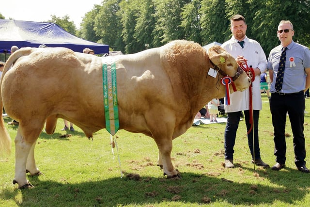 Gary McClelland, from Kilcoo, and judge Michael Diamond, with Mr McClelland's breed champion Blonde bull.  Picture: Cliff Donaldson
