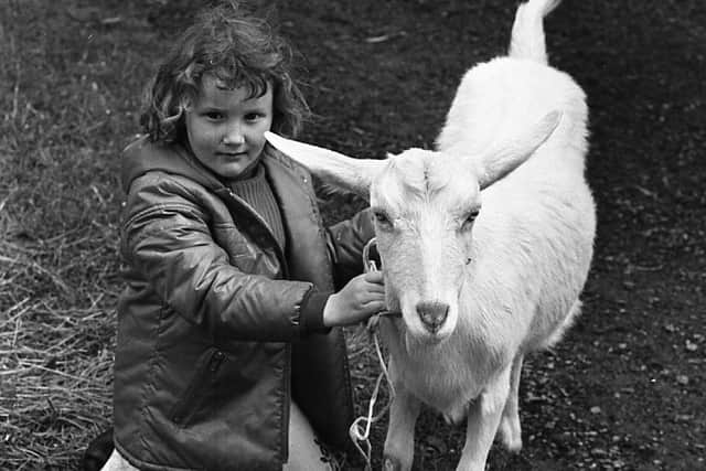 Pictured in June 1980 is seven-year-old Lisa Buchanon from Brackagh, Portadown, with her entry in the goat section at the Lurgan Show. Picture: Farming Life/News Letter archives/Darryl Armitage