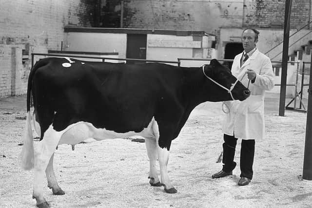 Mr Fred Duncan from Crumlin pictured in September 1982 with the supreme champion heifer at the Friesian Breeders’ Club show and sale at Banbridge. Picture: Farming Life/News Letter archives