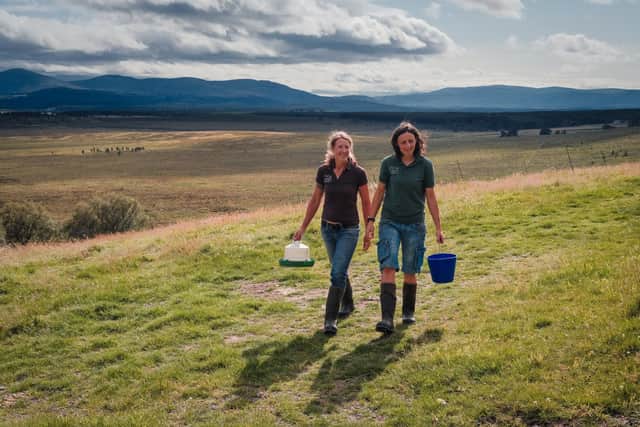 It took start-up crofters Lynn Cassells and Sandra Baer six hard years before they realised the hours they were working were unsustainable. Picture: Submitted