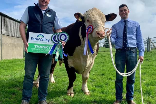 Adrian Stevenson of Fane Valley who are sponsoring this years Hereford National Show in Clogher Valley alongside NIHBA President and Chairman William McMordie.