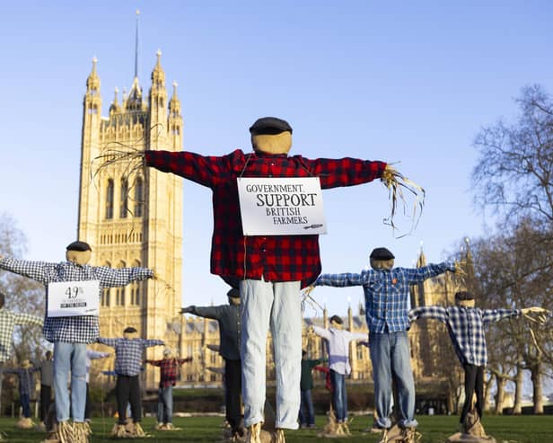 A view of 49 scarecrows outside the Houses of Parliament as part of Riverford's ‘Get Fair About Farming’ campaign, calling for the Government to force the leading supermarkets to adopt fairer principles for British farmers. (Picture: David Parry/PA Wire)