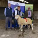 1st prize shearling ram from Shane Wilson pictured with judge and sponsor. Pic: Graham Cubitt