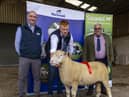1st prize shearling ram from Shane Wilson pictured with judge and sponsor. Pic: Graham Cubitt