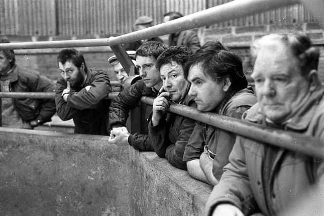 A section of the packed ringside at a show and sale of Blonde d’Aquitaine calves at Ards Mart in January 1992. Picture: Farming Life/News Letter archives