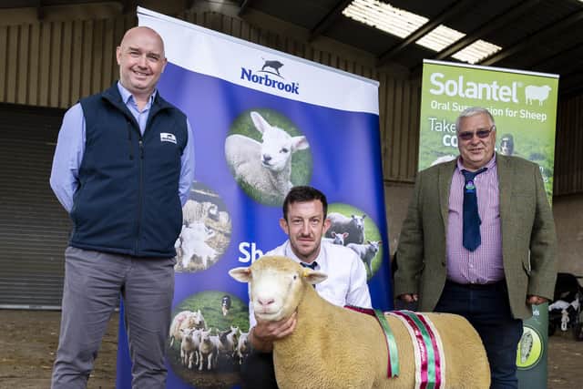 Ben Lamb with overall champion pictured with judge Denis Rankin and Kevin Corry (MvB MRCVS) from Norbrook. Picture: Graham Cubitt