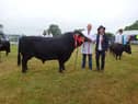 Dexter Breed Champion at Saintfield Show, Planetree Cerberus, shown by Desmond Bloomer with judge Helen Wing, Suffolk. Pic: Ryan Lavery