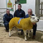 Sponsor Stephen Holden, Holden Agri Ltd and judge Ryan Doherty present the Holden Agr Ltd Reserve Champion rosette to Sean McCloskey, Glenroe Flock for his Shearling Ram exhibit at the NI Texel Sheep Breeder’s Club Show and Sale in Lisahally