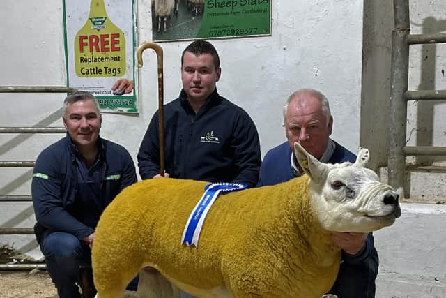 Sponsor Stephen Holden, Holden Agri Ltd and judge Ryan Doherty present the Holden Agr Ltd Reserve Champion rosette to Sean McCloskey, Glenroe Flock for his Shearling Ram exhibit at the NI Texel Sheep Breeder’s Club Show and Sale in Lisahally