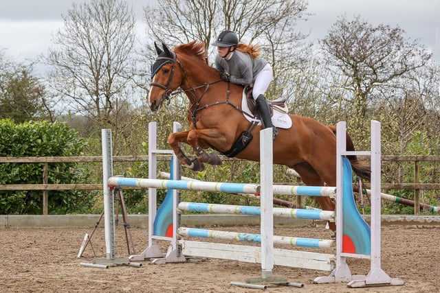Francis Kealey jumping Danny Bot ll (2nd 1.10m) at Connell Hill on April 11th. (Pic: Lyndon McKee Photography)