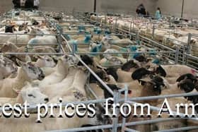 Armoy mart