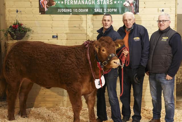 Shane McGeehan, with his Class 6 winner at Fermanagh Pedigree Breeders Show and Sale. Also included are Jim Brady and Daragh Healy, Natural Nutrition Ltd, Sponsor.