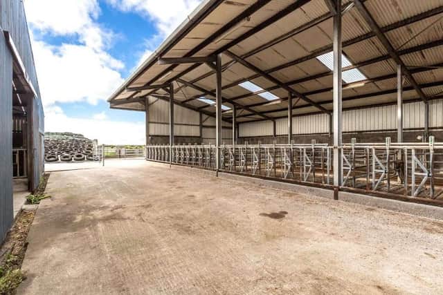 A “superb” livestock farm with a charming house and modern farm buildings, extending to about 96 acres in total, has been launched to the market by Savills with a guide price of €1,300,000. Image: Savills