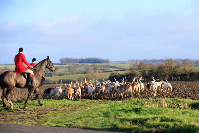 horses and hounds