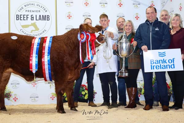 NOVEMBER: Supreme champion at the Ulster Beef and Lamb Championships was the 674kgs heifer ‘Hips Don’t Lie’ sold for £15,000 by JCB Commercials. Picture: Wilie McElroy