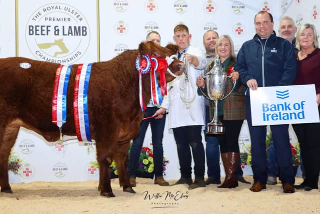 NOVEMBER: Supreme champion at the Ulster Beef and Lamb Championships was the 674kgs heifer ‘Hips Don’t Lie’ sold for £15,000 by JCB Commercials. Picture: Wilie McElroy